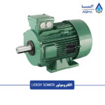 الکتروموتور-لروی-سومر-1
