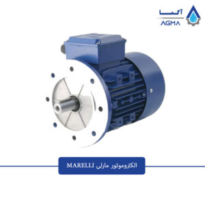 الکتروموتور-مارلی-2