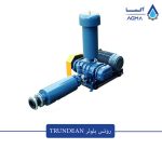روتس بلوئر TRUNDEAN