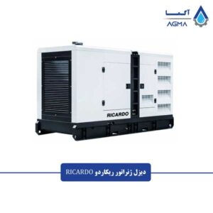 دیزل-ژنراتور-ریکاردو--کانوپی