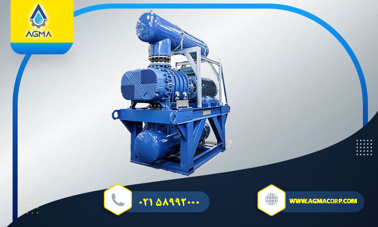 قیمت بلوئر ROBUSCHI