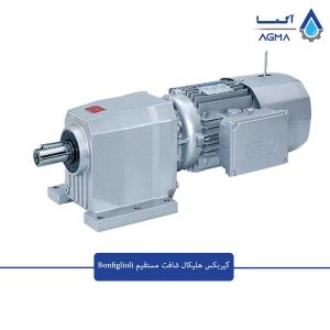 گیربکس-شافت-مستقیم-بونفیلیولی-1