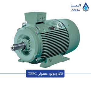 الکتروموتور-معمولی-TEFC