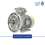 الکتروموتور ضد انفجار رائل RAEL - Image 2